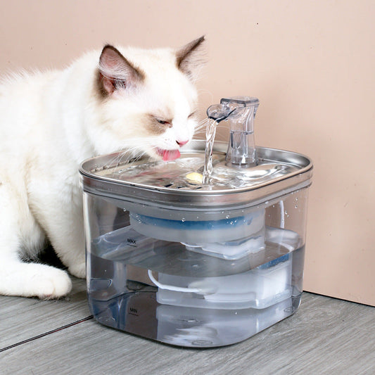 Chat qui boit à une fontaine à eau